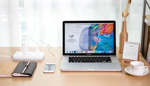 东北制衣企业介绍